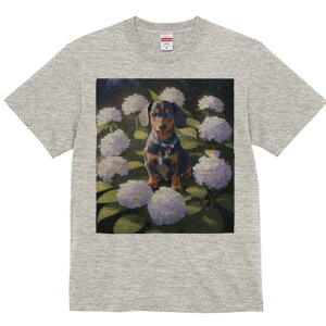 _bNXtg TVc  j[NfUCY LbY t@  t vg lJWA 킢 lԗp Mtg I ҏ΍ AWTC _bNXtg  lbNX