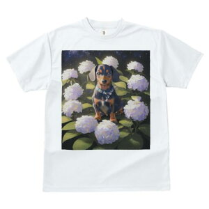 _bNXtg TVc  j[NfUCfB[X t@  t vg lJWA 킢 lԗp Mtg I ҏ΍ AWTC _bNXtg  lbNX 