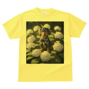 _bNXtg TVc  j[NfUCY LbY t@  t vg lJWA 킢 lԗp Mtg I ҏ΍ AWTC _bNXtg  lbNX