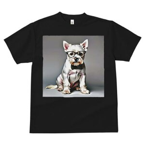 EGXgnChzCgeA TVc  j[NfUCfB[X t@  t vg lJWA 킢 lԗp Mtg I ҏ΍ Kl EGXgnC