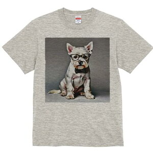 EGXgnChzCgeA TVc  j[NfUCfB[X t@  t vg lJWA 킢 lԗp Mtg I ҏ΍ Kl EGXgnC