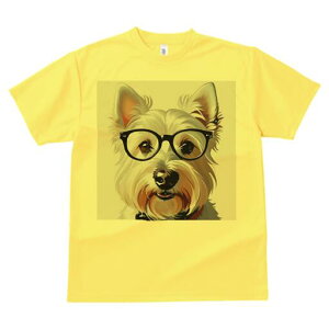 EGXgnChzCgeA TVc  j[NfUCfB[X t@  t vg lJWA 킢 lԗp Mtg I ҏ΍ Kl EGXgnC