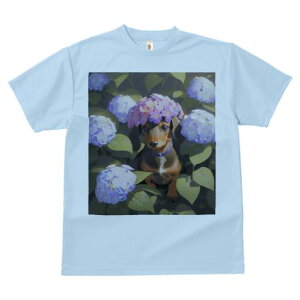 _bNXth TVc  j[NfUCfB[X t@  t vg lJWA 킢 lԗp Mtg I ҏ΍  _bNXth AWTC z Ԋ