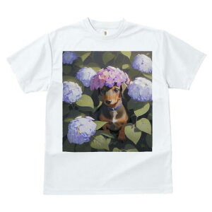 _bNXth TVc  j[NfUCY LbY t@  t vg lJWA 킢 lԗp Mtg I ҏ΍  _bNXth AWTC z 