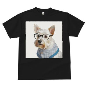 EGXgnChzCgeA TVc  j[NfUCfB[X t@  t vg lJWA 킢 lԗp Mtg I ҏ΍ Kl EGXgnC