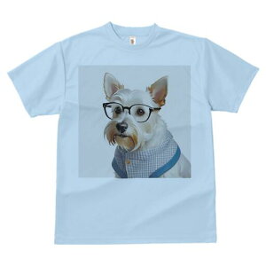 EGXgnChzCgeA TVc  j[NfUCfB[X t@  t vg lJWA 킢 lԗp Mtg I ҏ΍ Kl EGXgnC