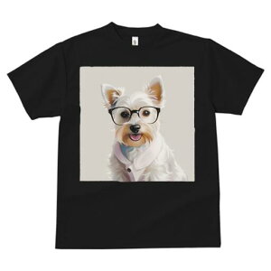 EGXgnChzCgeA TVc  j[NfUCY LbY t@  t vg lJWA 킢 lԗp Mtg I ҏ΍ Kl EGXgn