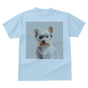 EGXgnChzCgeA TVc  j[NfUCfB[X t@  t vg lJWA 킢 lԗp Mtg I ҏ΍ Kl EGXgnC