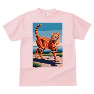 TVc  j[NfUCfB[X t@  t vg lJWA 킢 lԗp Mtg I ҏ΍ L ՔL  ybg i