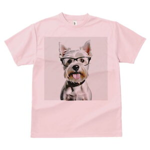 EGXgnChzCgeA TVc  j[NfUCY LbY t@  t vg lJWA 킢 lԗp Mtg I ҏ΍ Kl EGXgn