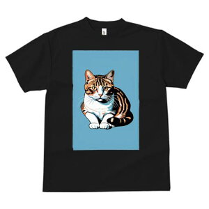 TVc  j[NfUCfB[X t@  t vg lJWA 킢 lԗp Mtg I ҏ΍ L ybg  킢 CXg