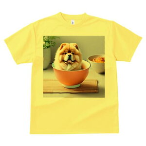 `E`E TVc  j[NfUCfB[X t@  t vg lJWA 킢 lԗp Mtg I ҏ΍ {E `E`E A |}bg