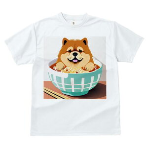 `E`E TVc  j[NfUCfB[X t@  t vg lJWA 킢 lԗp Mtg I ҏ΍ [ `E`E ǂԂ  