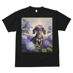 _bNXth TVc  j[NfUCY LbY t@  t vg lJWA 킢 lԗp Mtg I ҏ΍  _bNXth AWTC lbNX