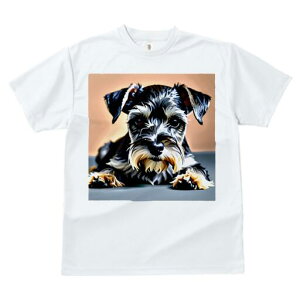 ~j`AViEU[ TVc  j[NfUCfB[X t@  t vg lJWA 킢 lԗp Mtg I ҏ΍ ~j`AViEU[