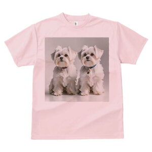 }`[Y TVc  j[NfUCfB[X t@  t vg lJWA 킢 lԗp Mtg I ҏ΍  }`[Y y_g