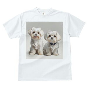 }`[Y TVc  j[NfUCfB[X t@  t vg lJWA 킢 lԗp Mtg I ҏ΍ }`[Y