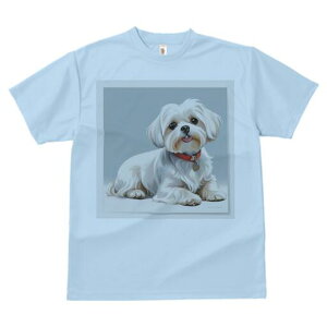 }`[Y TVc  j[NfUCfB[X t@  t vg lJWA 킢 lԗp Mtg I ҏ΍ }`[Y