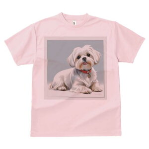 }`[Y TVc  j[NfUCfB[X t@  t vg lJWA 킢 lԗp Mtg I ҏ΍ }`[Y