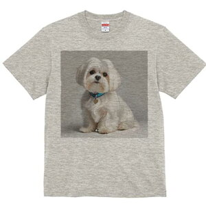 }`[Y TVc  j[NfUCfB[X t@  t vg lJWA 킢 lԗp Mtg I ҏ΍  }`[Y n[g