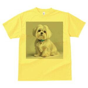 }`[Y TVc  j[NfUCfB[X t@  t vg lJWA 킢 lԗp Mtg I ҏ΍  }`[Y n[g