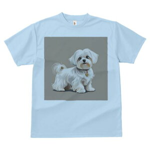 }`[Y TVc  j[NfUCfB[X t@  t vg lJWA 킢 lԗp Mtg I ҏ΍ ybg }`[Y 킢  q