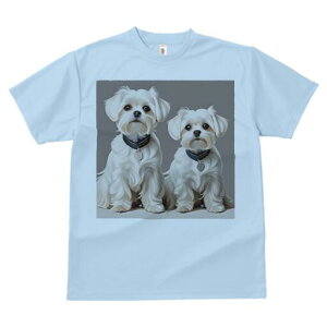 }`[Y TVc  j[NfUCfB[X t@  t vg lJWA 킢 lԗp Mtg I ҏ΍ }`[Y