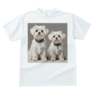 }`[Y TVc  j[NfUCfB[X t@  t vg lJWA 킢 lԗp Mtg I ҏ΍ }`[Y