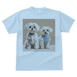 }`[Y TVc  j[NfUCfB[X t@  t vg lJWA 킢 lԗp Mtg I ҏ΍  }`[Y o_i