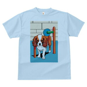 �L���o���A T�V���c ���� ���j�[�N�f�U�C�����f�B�[�X ���t�@�� ���� �t�� �v�����g ��l�J�W���A�� ���킢�� �l�ԗp �M�t�g ���I �ҏ��΍� �h�A �L���o���A ��