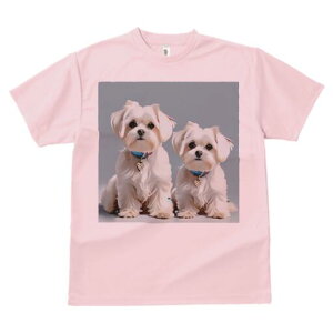 }`[Y TVc  j[NfUCfB[X t@  t vg lJWA 킢 lԗp Mtg I ҏ΍ }`[Y