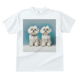 }`[Y TVc  j[NfUCfB[X t@  t vg lJWA 킢 lԗp Mtg I ҏ΍ }`[Y