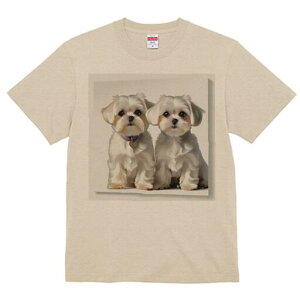 }`[Y TVc  j[NfUCfB[X t@  t vg lJWA 킢 lԗp Mtg I ҏ΍ }`[Y