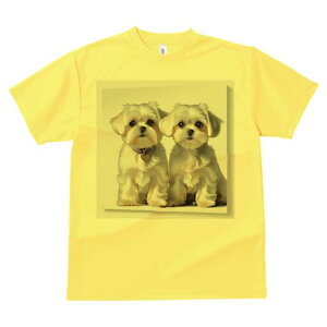 }`[Y TVc  j[NfUCfB[X t@  t vg lJWA 킢 lԗp Mtg I ҏ΍ }`[Y