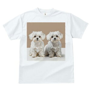 }`[Y TVc  j[NfUCfB[X t@  t vg lJWA 킢 lԗp Mtg I ҏ΍ }`[Y