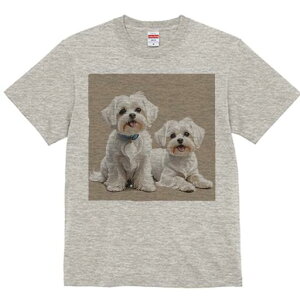 }`[Y TVc  j[NfUCfB[X t@  t vg lJWA 킢 lԗp Mtg I ҏ΍ }`[Y