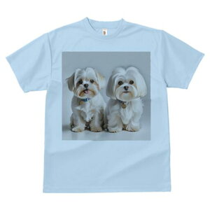 }`[Y,V[Y[ TVc  j[NfUCfB[X t@  t vg lJWA 킢 lԗp Mtg I ҏ΍ ybg }`[Y,V[Y[ 킢