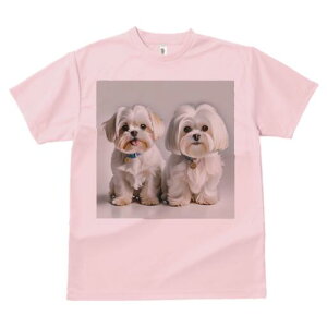 }`[Y,V[Y[ TVc  j[NfUCfB[X t@  t vg lJWA 킢 lԗp Mtg I ҏ΍ ybg }`[Y,V[Y[ 킢