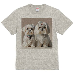 }`[Y TVc  j[NfUCfB[X t@  t vg lJWA 킢 lԗp Mtg I ҏ΍ { }`[Y 