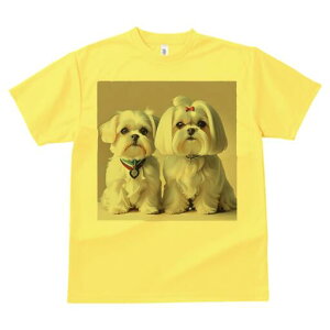 }`[Y TVc  j[NfUCfB[X t@  t vg lJWA 킢 lԗp Mtg I ҏ΍ { }`[Y 