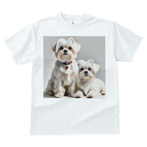 }`[Y TVc  j[NfUCfB[X t@  t vg lJWA 킢 lԗp Mtg I ҏ΍ n[g }`[Y