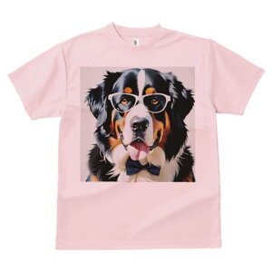 o[j[Y}EehbO TVc  j[NfUCfB[X t@  t vg lJWA 킢 lԗp Mtg I ҏ΍ Kl o[j[Y}Ee