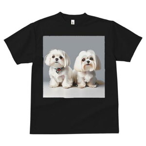 }`[Y TVc  j[NfUCfB[X t@  t vg lJWA 킢 lԗp Mtg I ҏ΍ }`[Y