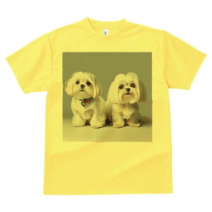 }`[Y TVc  j[NfUCfB[X t@  t vg lJWA 킢 lԗp Mtg I ҏ΍ }`[Y