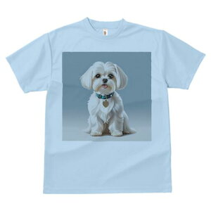 }`[Y TVc  j[NfUCfB[X t@  t vg lJWA 킢 lԗp Mtg I ҏ΍  }`[Y