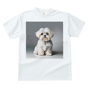 }`[Y TVc  j[NfUCfB[X t@  t vg lJWA 킢 lԗp Mtg I ҏ΍ }`[Y