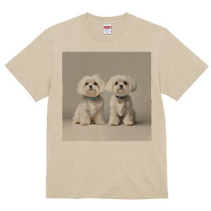 }`[Y TVc  j[NfUCfB[X t@  t vg lJWA 킢 lԗp Mtg I ҏ΍ }`[Y