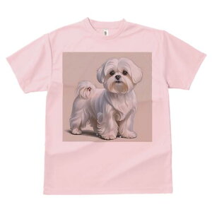 }`[Y TVc  j[NfUCfB[X t@  t vg lJWA 킢 lԗp Mtg I ҏ΍ }`[Y