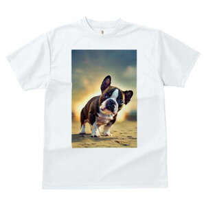 {XgeA TVc  j[NfUCfB[X t@  t vg lJWA 킢 lԗp Mtg I ҏ΍ l {XgeA  [Ă