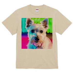 EGXgnChzCgeA TVc  j[NfUCfB[X t@  t vg lJWA 킢 lԗp Mtg I ҏ΍ wi EGXgnC